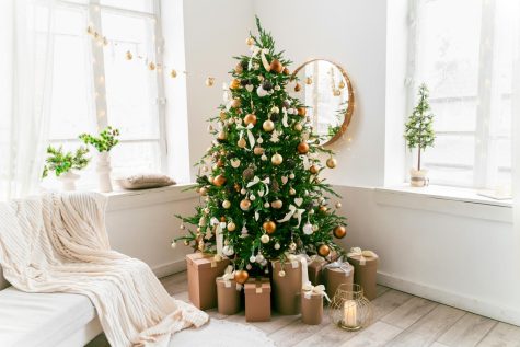 Holiday Traditions with Haley