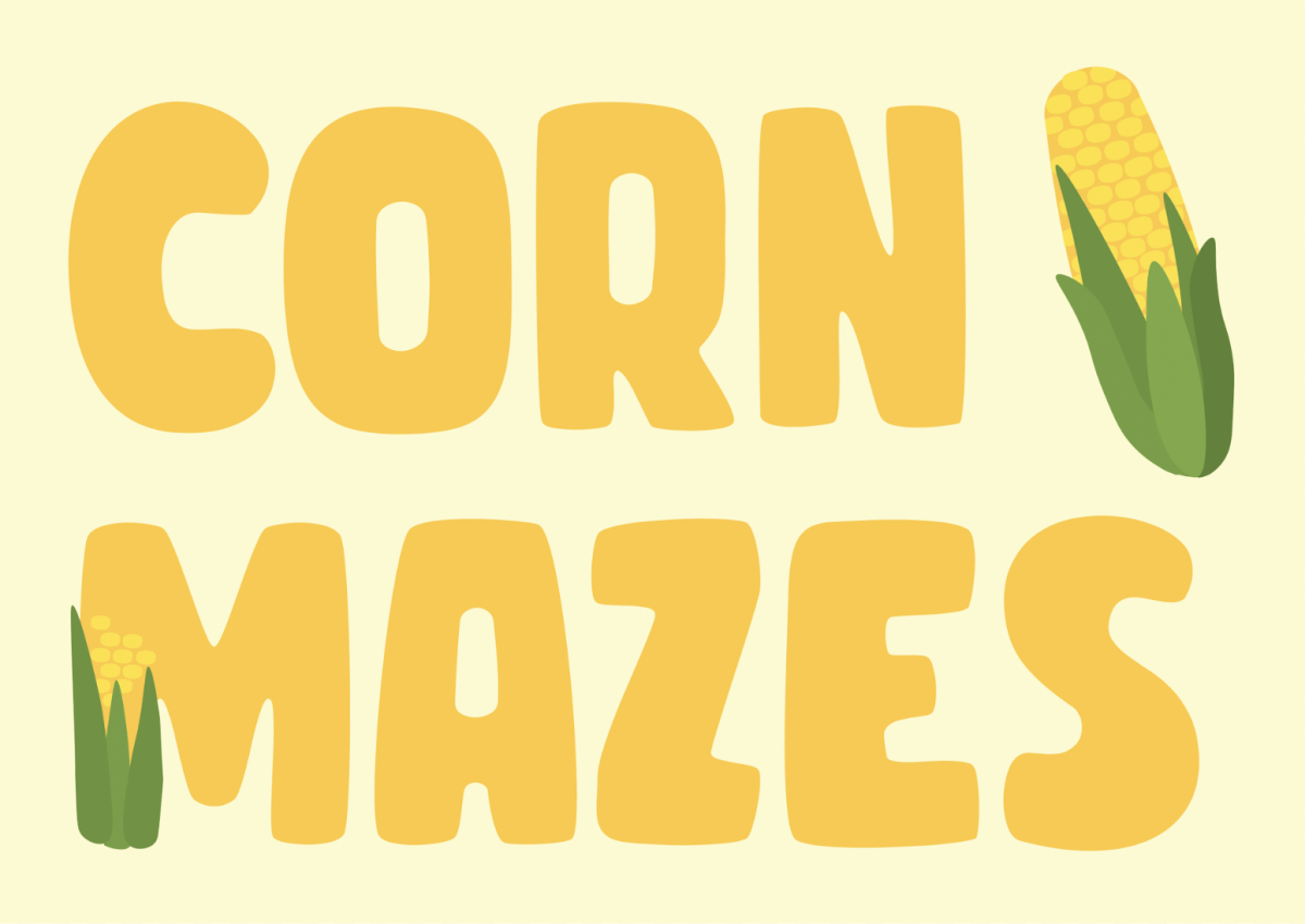Why+You+Should+Attend+a+Corn+Maze%21