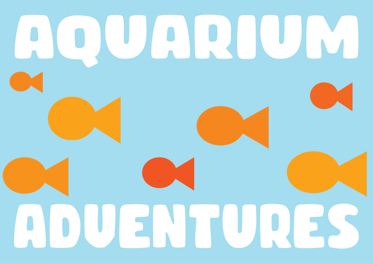 Aquarium Adventures