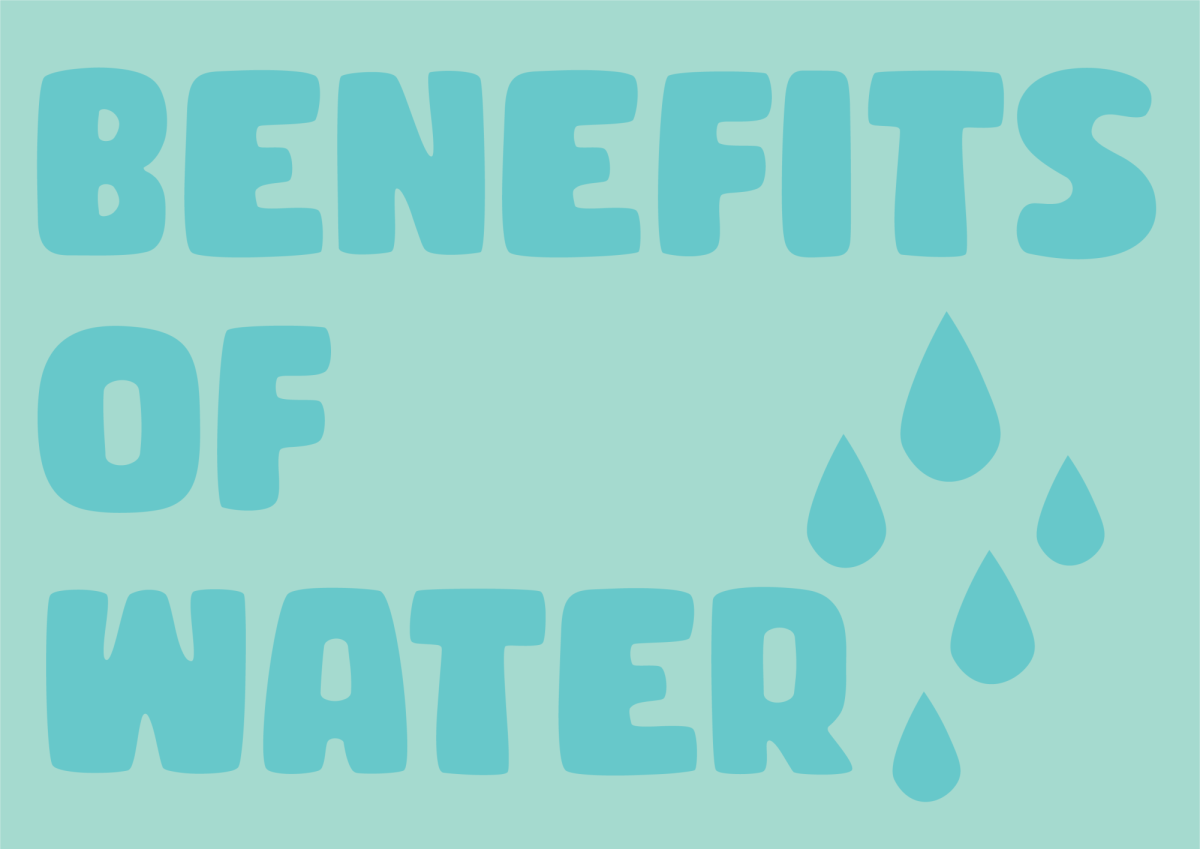 The+importance+of+Water